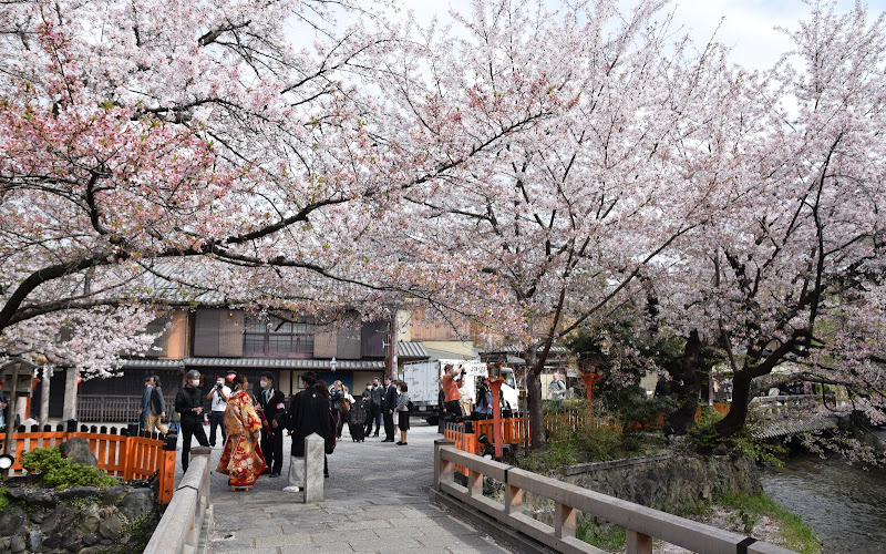 Shirakawa Canal