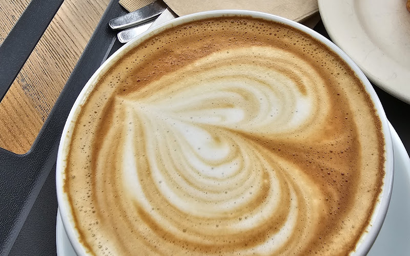 Trevi Coffee Roasters