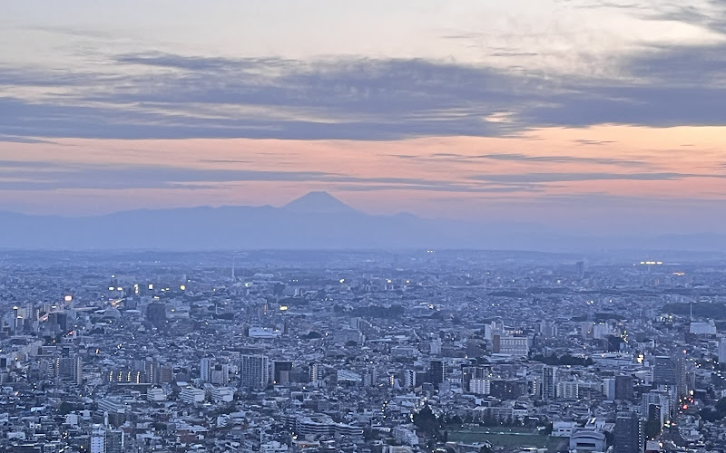 도쿄도청 남측 전망대
