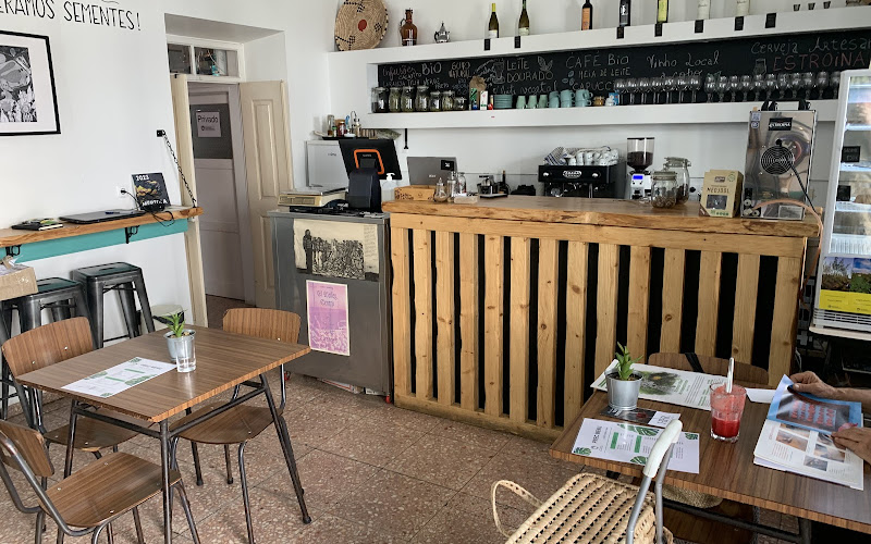 Processo Regenerativo em Curso