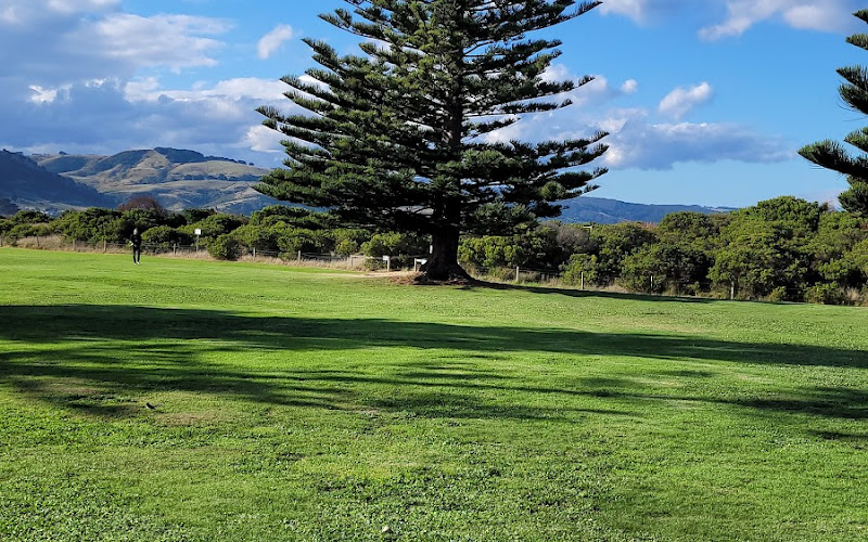 Apollo Bay Garden and Beach