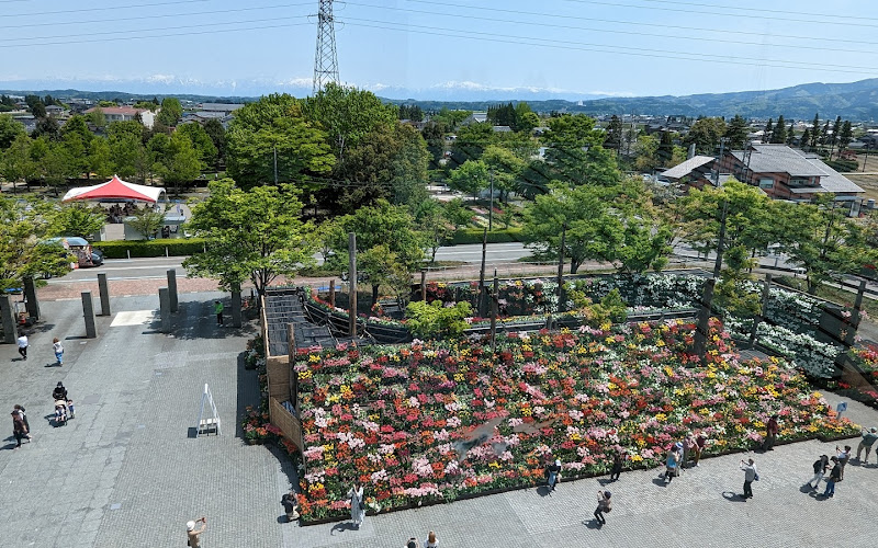 花の大谷