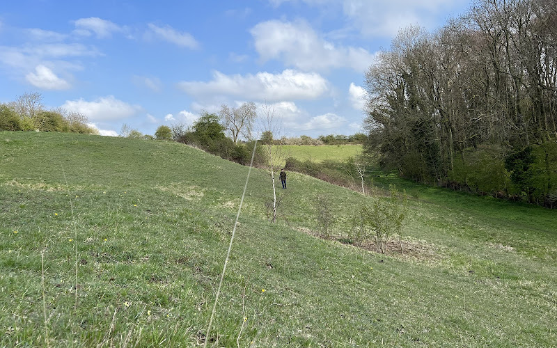 Ledsham Bank nature reserve
