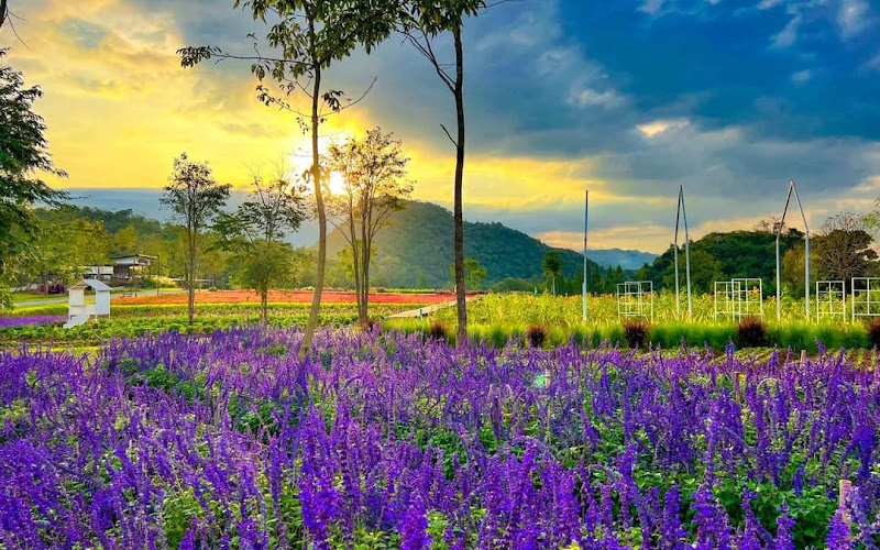 Flowers Village Khao Yai