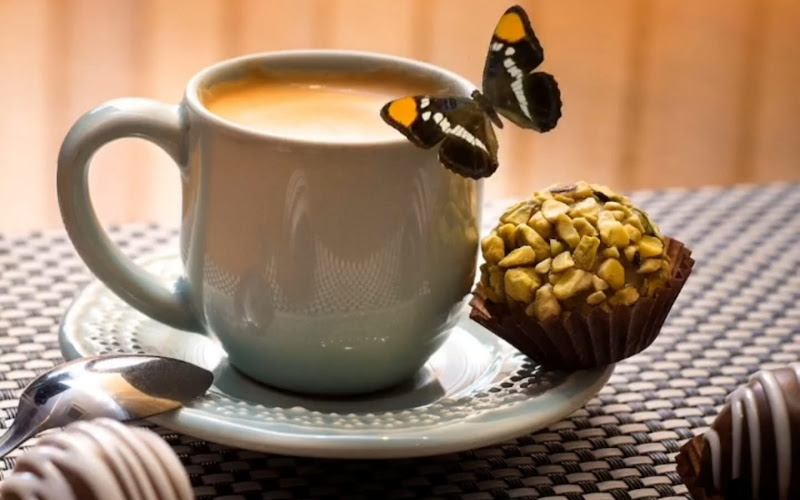 Adore Brigaderia - Shopping Maringá Park