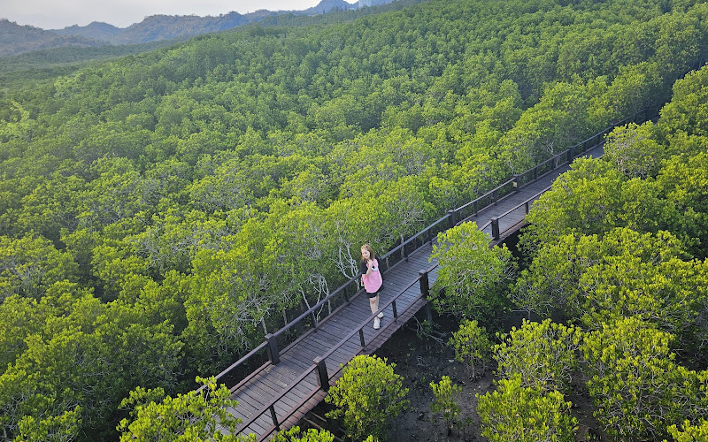 Pran Buri Forest Park