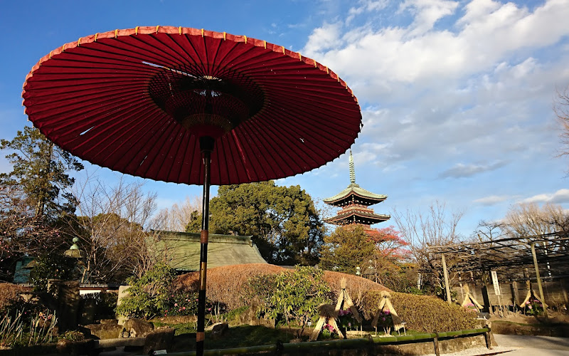 Ueno Toshogu Shrine Peony Garden