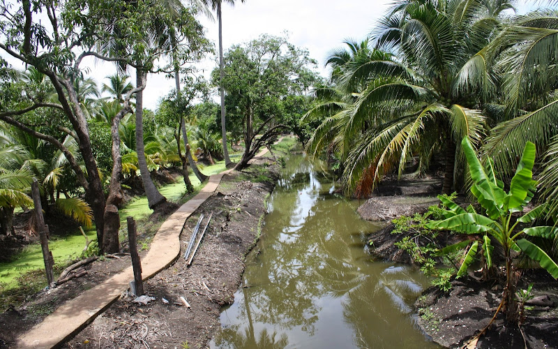Tiger World Thailand