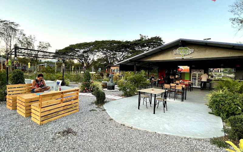 Big tree restaurant & bar