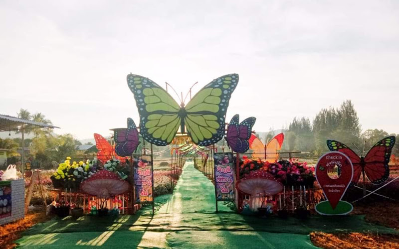 แหนมเห็ดแม่นุ้ยวังน้ำเขียว