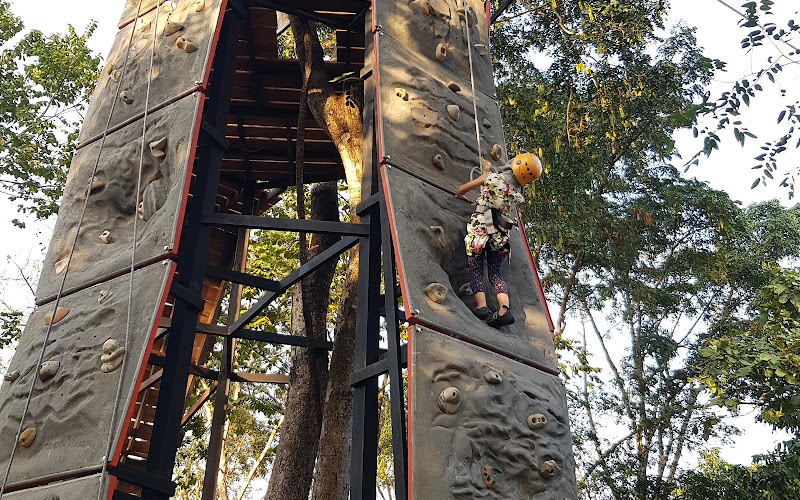 ザ・バックヤード