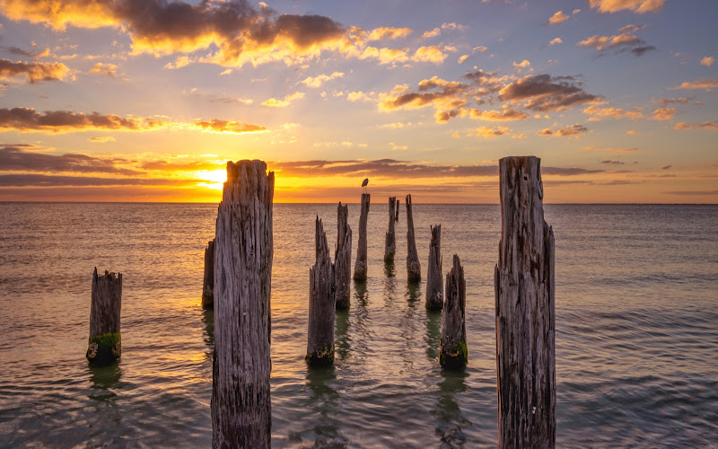 Ancient Pier Fort Myers Beach