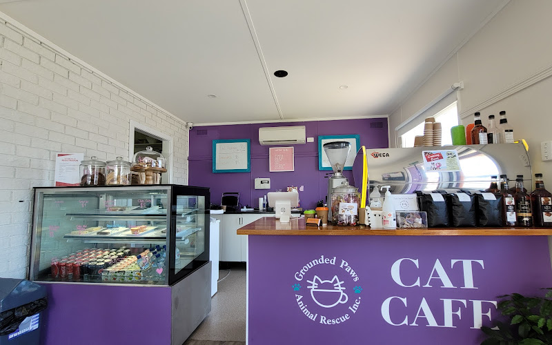 Grounded Paws Cat Cafe