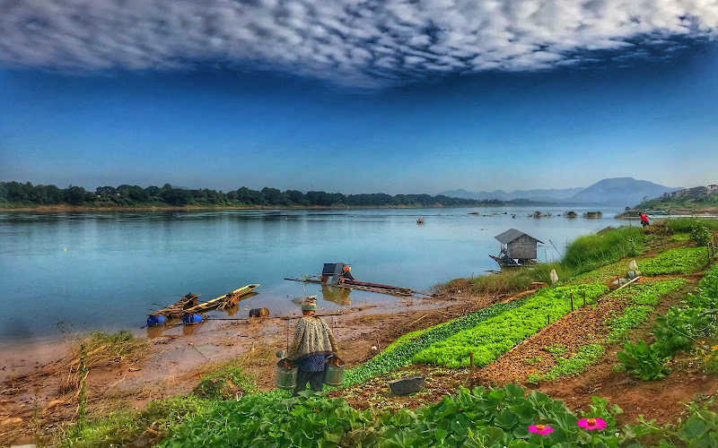 Chiang Khan Fisherman's Wharf - A Learning Space