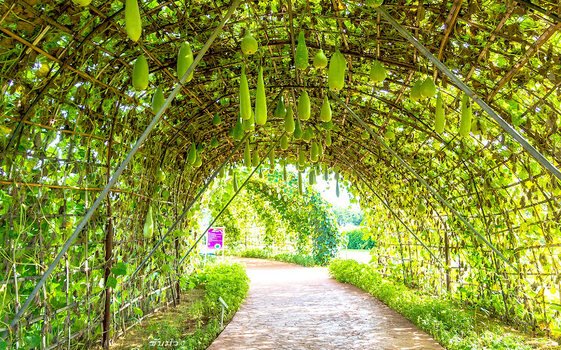 โครงการทหารพันธ์ุดี กรมพลาธิการทหารบก ปากช่อง