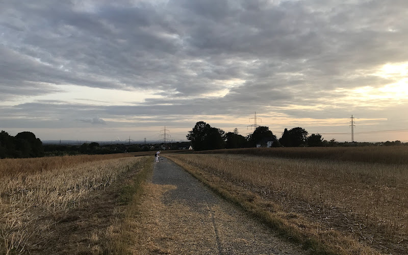 Aussichtsbank
