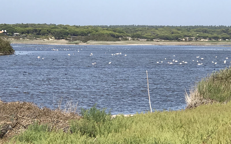 Observatório de Aves da Lagoa de Melides
