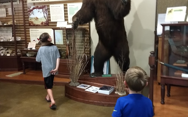 Hefner Museum of Natural History