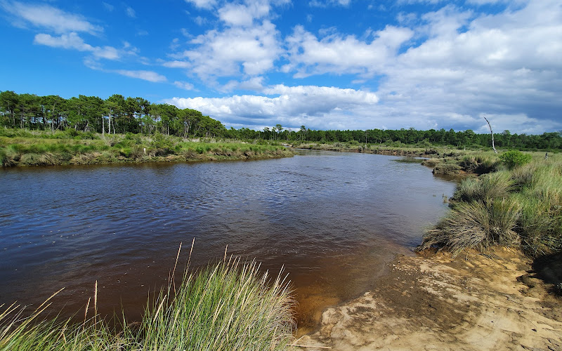 Réserve naturelle nationale des prés salés d'Arès et de Lège-Cap-Ferret