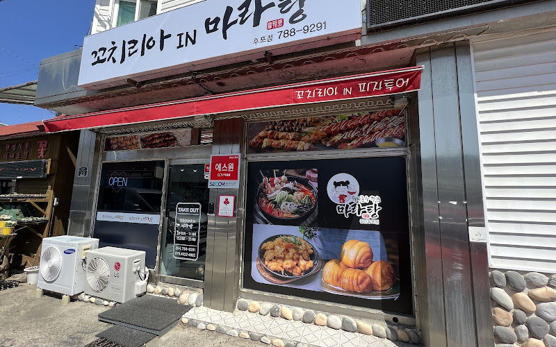 꼬치리아IN피자투어