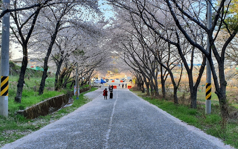 Seonjin Park
