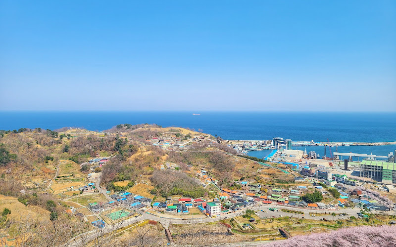 봉황산산림욕장