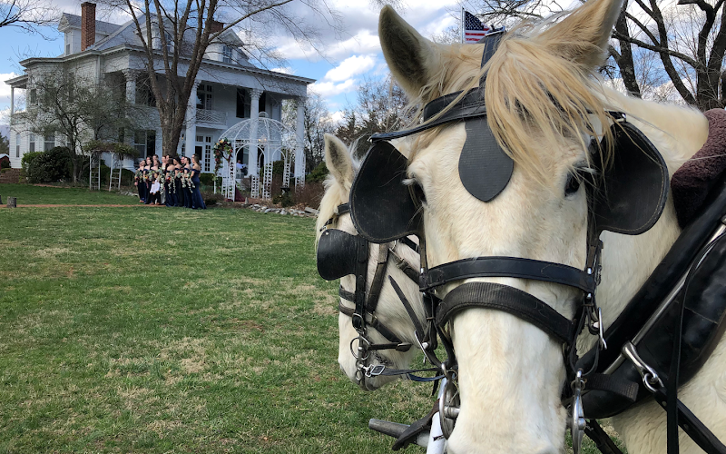 Lexington Carriage Company