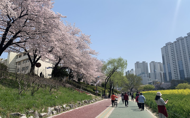 온천천