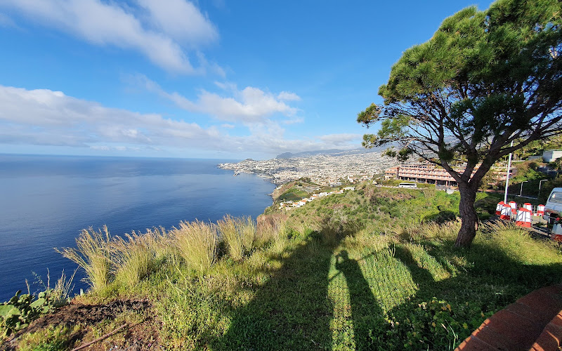 Miradouro do Pico de São Gonçalo