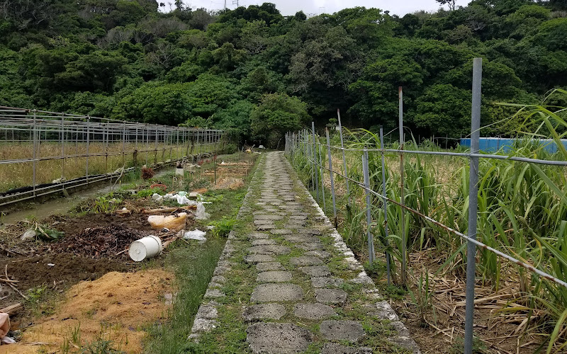 Ukinju Hainju