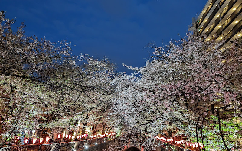 Meguro River