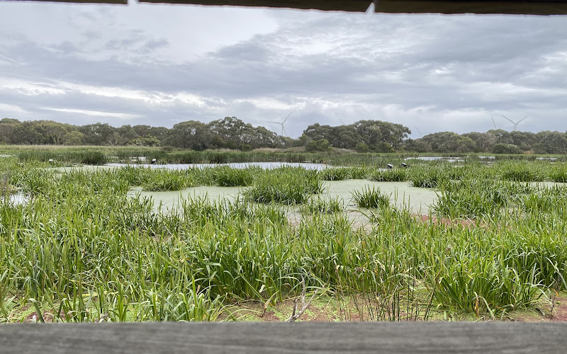 벡스터즈 웨틀랜드