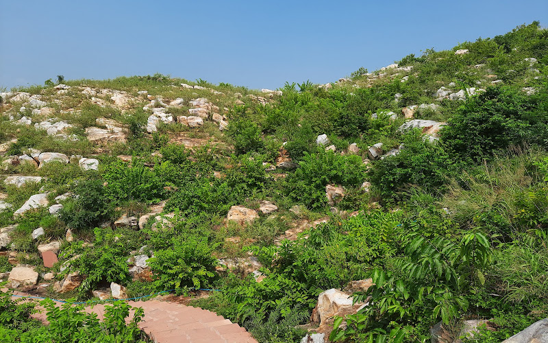 Rajgir Viewing Spot