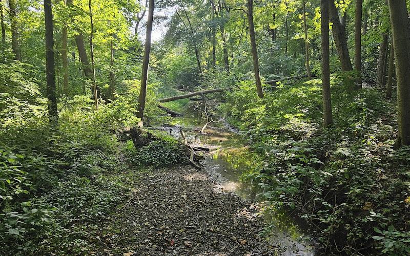 Lonidaw Nature Preserve - ACRES Land Trust