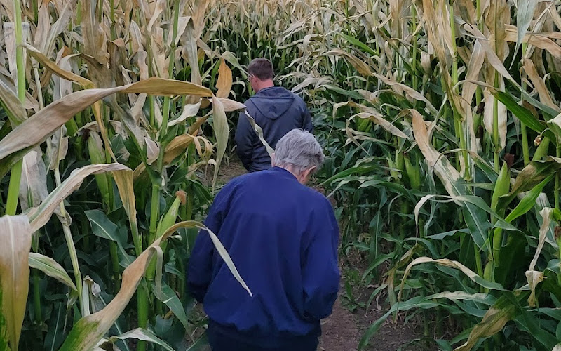 The Morgan Maze