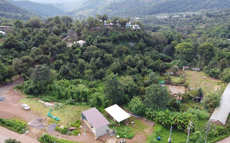 アベノ ドーイチャーン