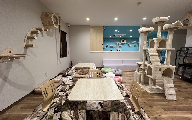 Cat Cafe-Meow Legend