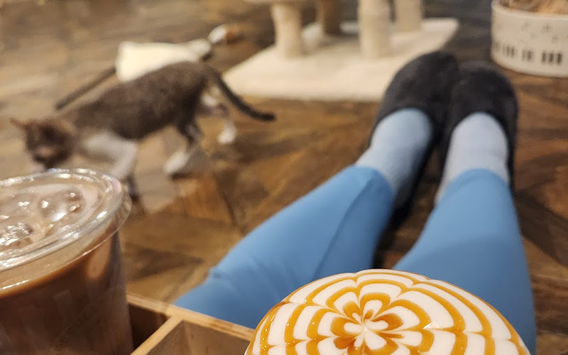 C-way’s Cat&Coffee