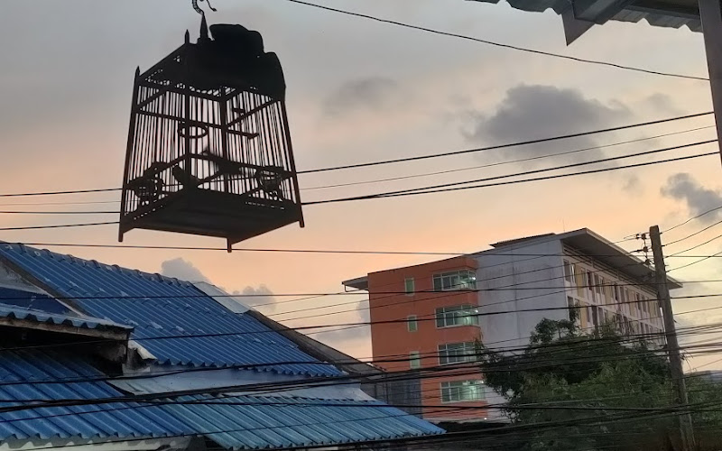 เจ๊นงค์มาม่าผัด ทุ่งรี-โคกวัด