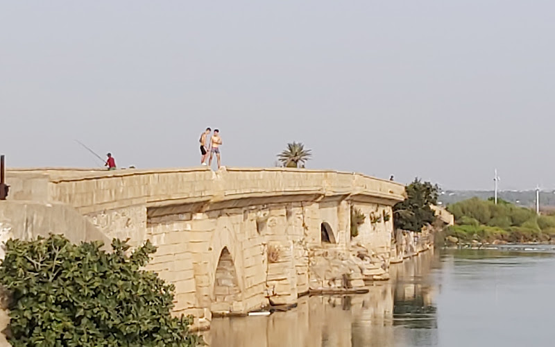 Puente Zuazo