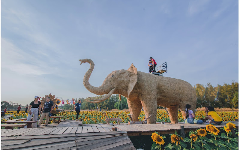 โคกตาบัน ตะวันยิ้ม