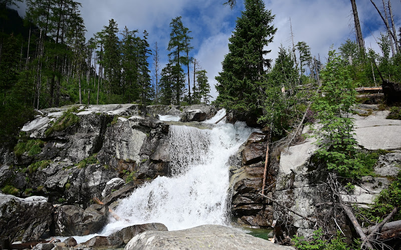 Studenovodský potok