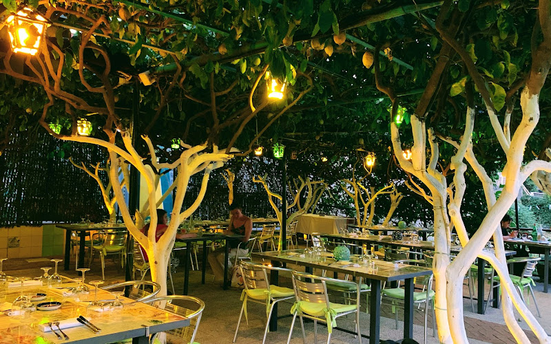 Ristorante Pizzeria al Limoneto