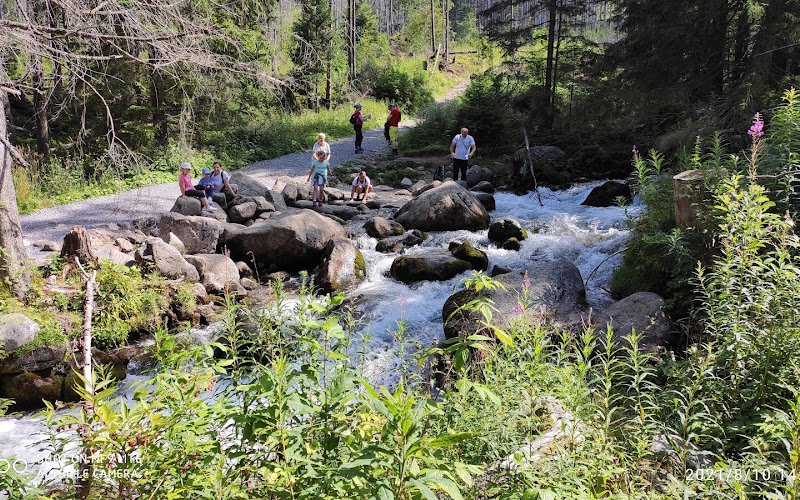 Wywierzysko Olczyskie