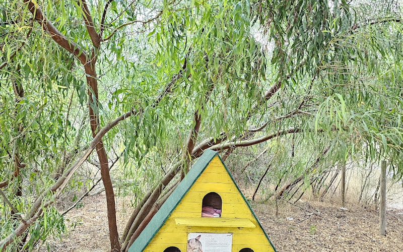 Cats House