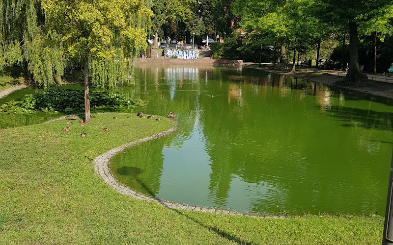 Lauenburger Teich