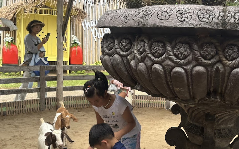 Thavorn Palm Beach pet zoo