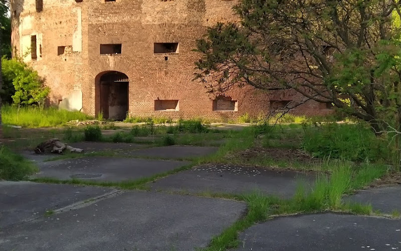 Baszta Montalamberta