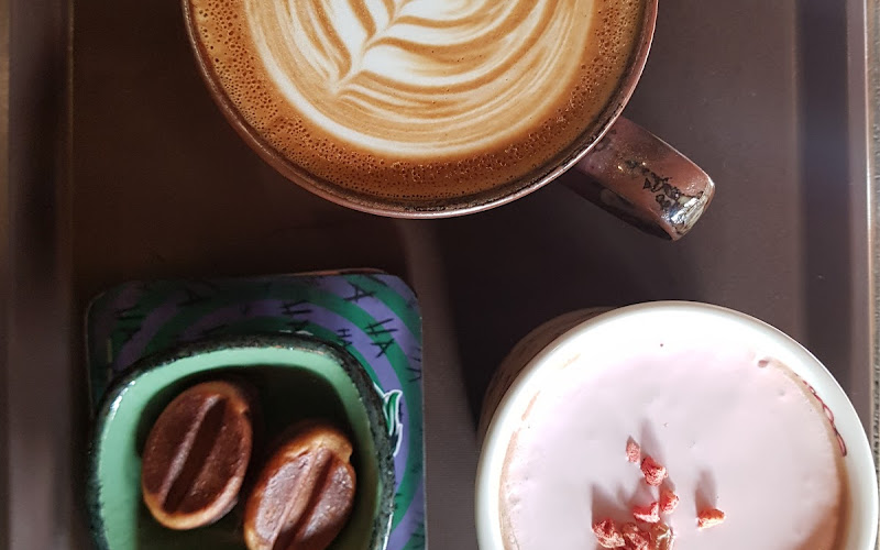 콩드립로스터스