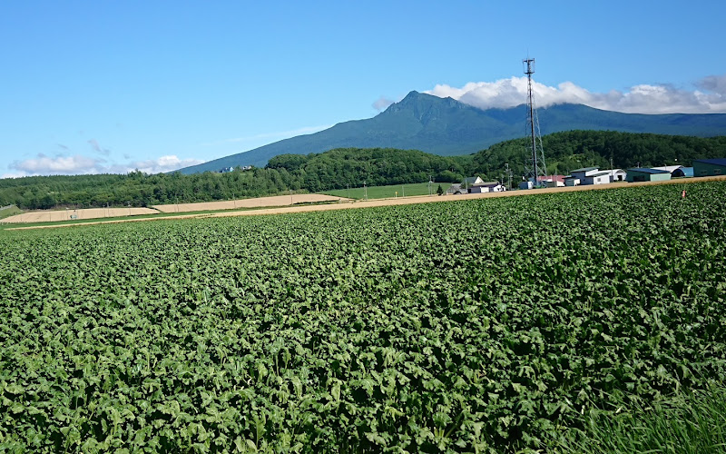 Midorigaoka Park